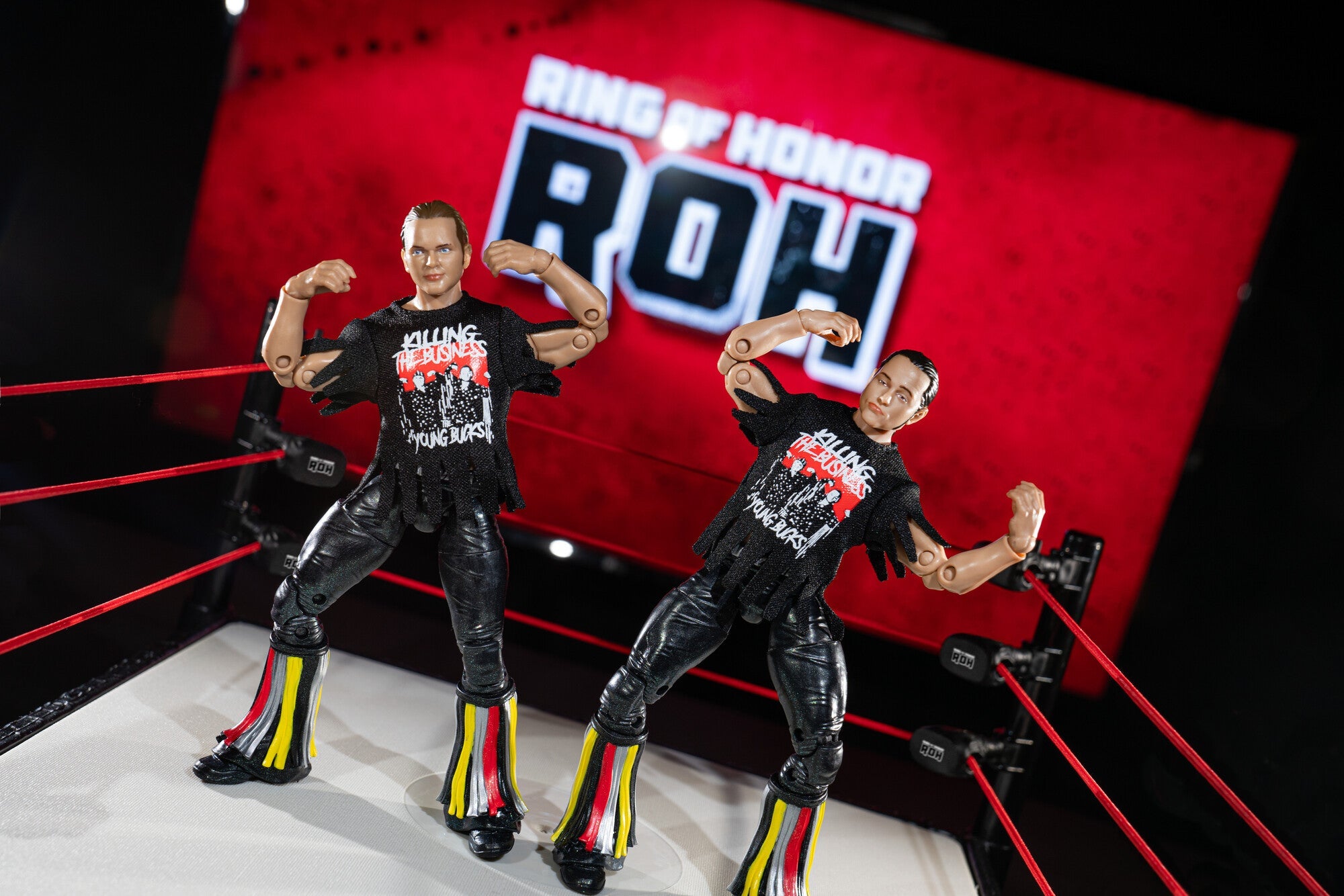 Ring of Honor The Young Bucks