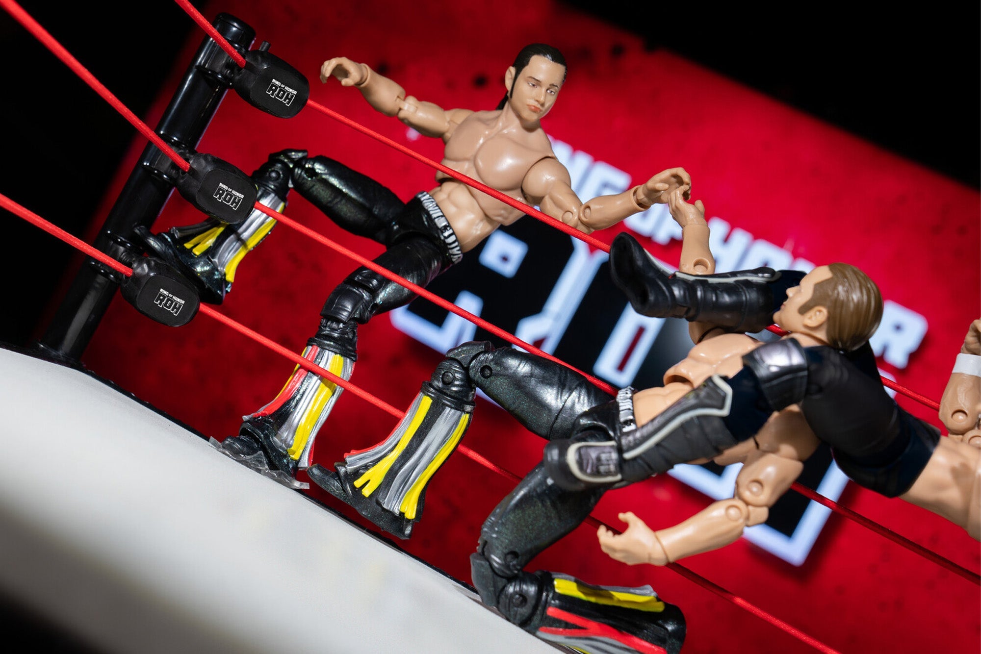 Ring of Honor The Young Bucks