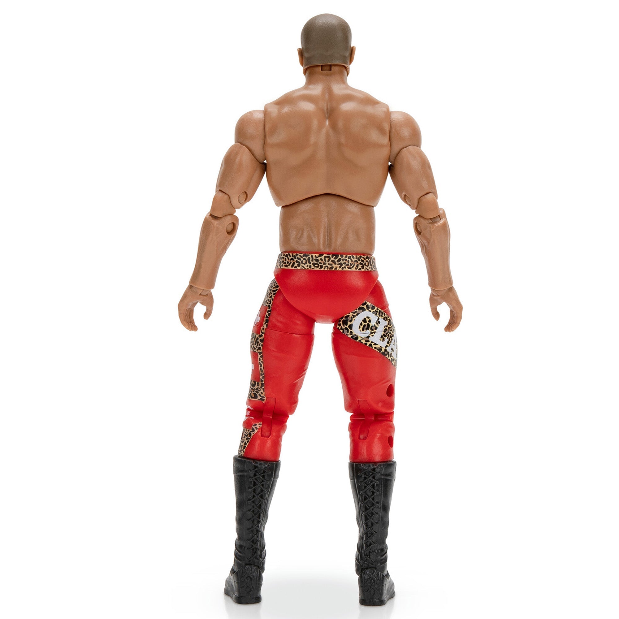 Ring of Honor Claudio Castagnoli