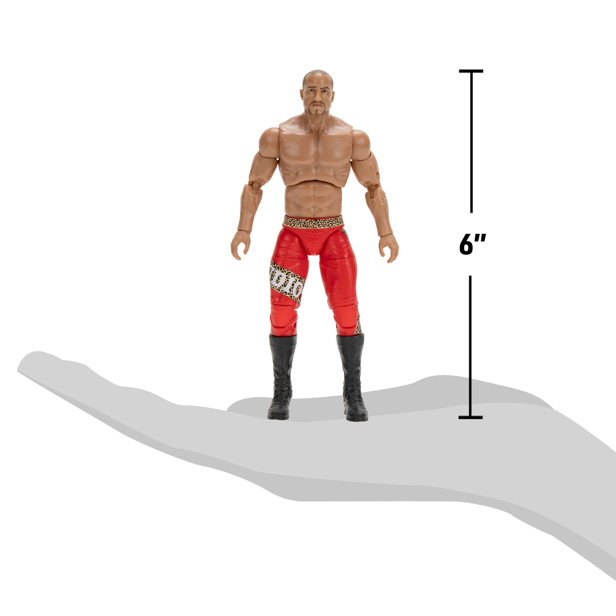 Ring of Honor Claudio Castagnoli