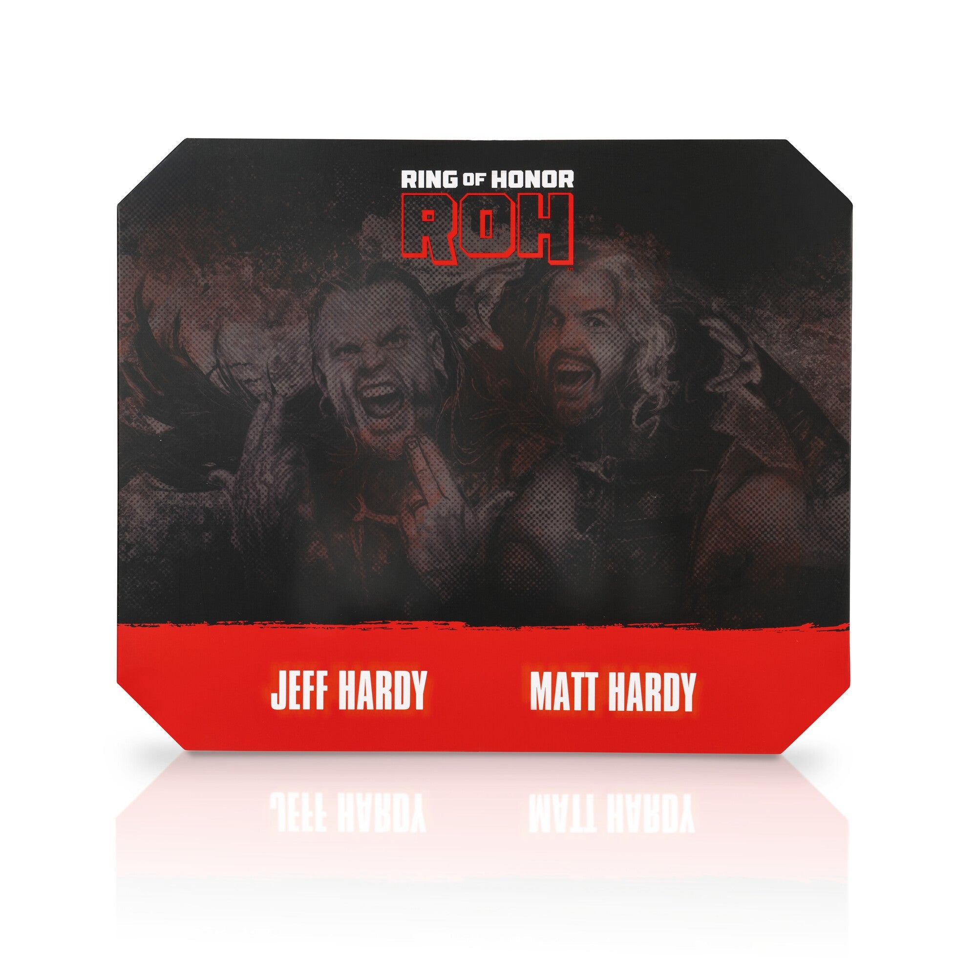 Ring of Honor Hardy Boyz 2-Pack