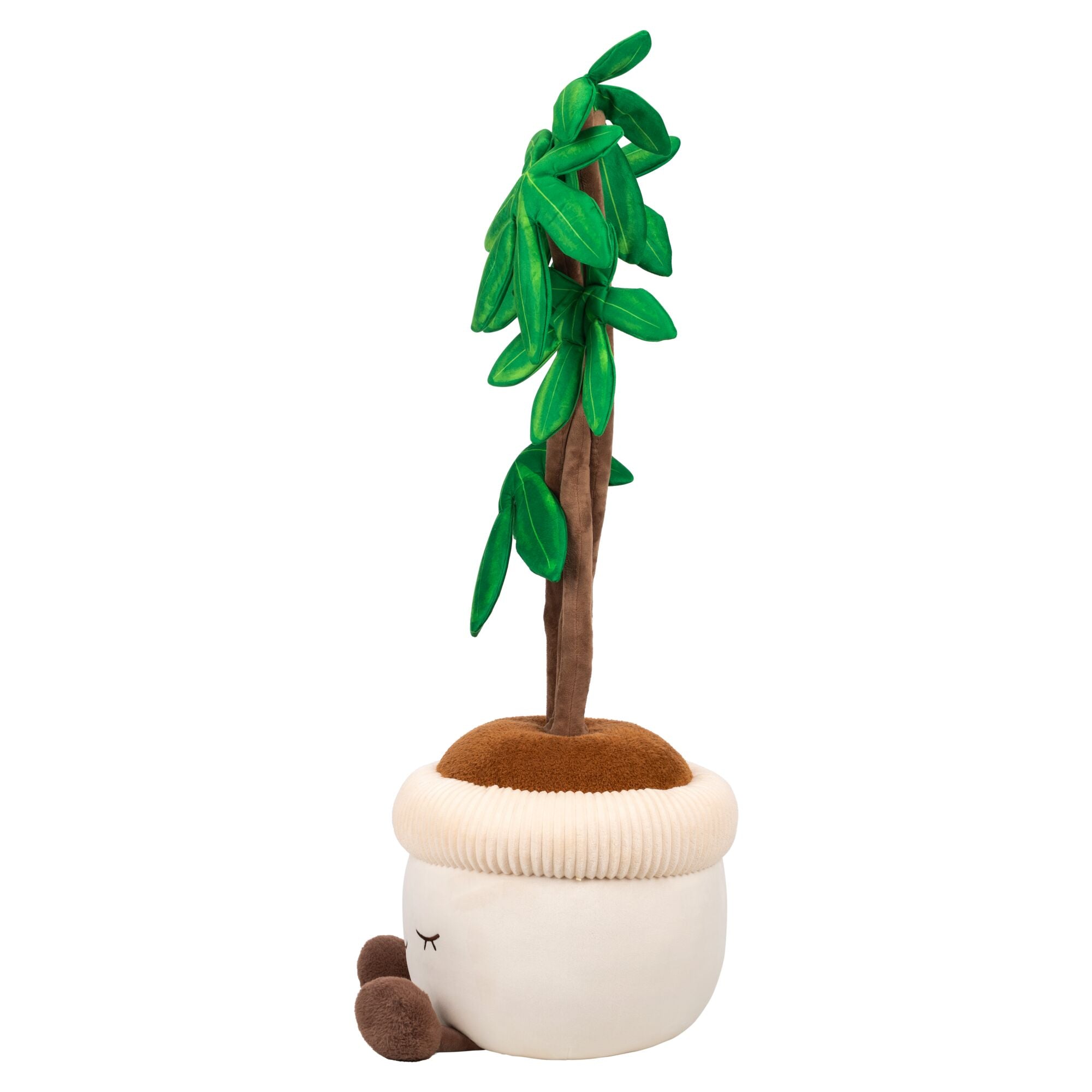 Greenhouse by Russ 4 Feet Tall Money Tree Plush